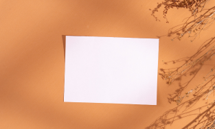 Rajeshwari Card Palace-Invitation Printing Services,Bangalore